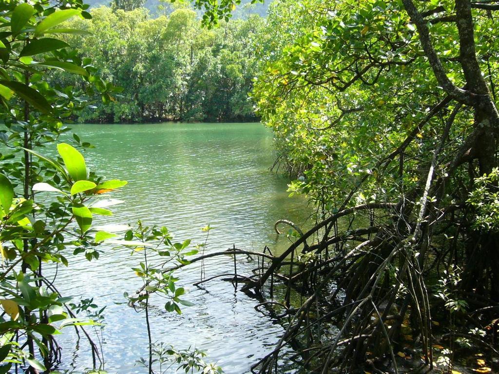 Port Douglas Retreat Buitenkant foto